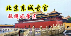 好粗的鸡巴插的爽视频中国北京-东城古宫旅游风景区